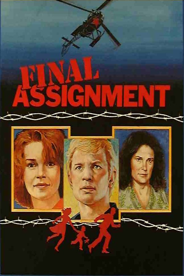 Постер Final Assignment